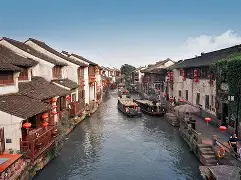 江南山猫队爆冷塞北雄鲨队，击剑大奖赛上演耐力碾压对手！团队防守值得称道(三大舰队属于各战区吗)